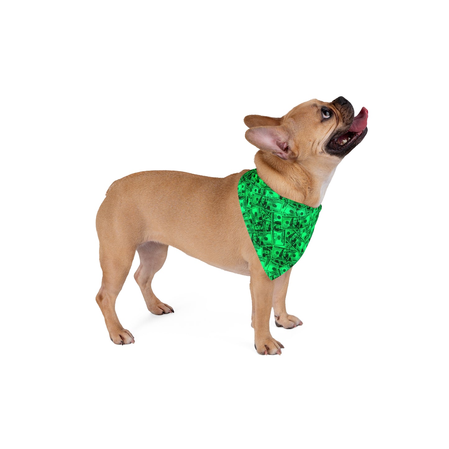 Green Hundred Dollar Bills Money Dog Bandana