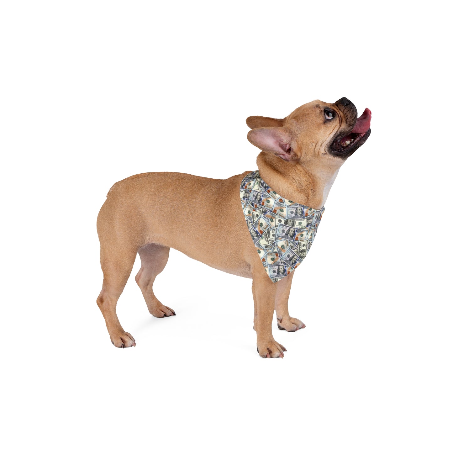 Hundred Dollar Bills Money Dog Bandana