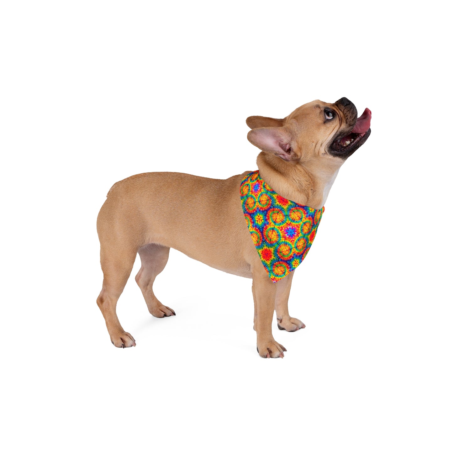 Rainbow Tiedye Dog Bandana