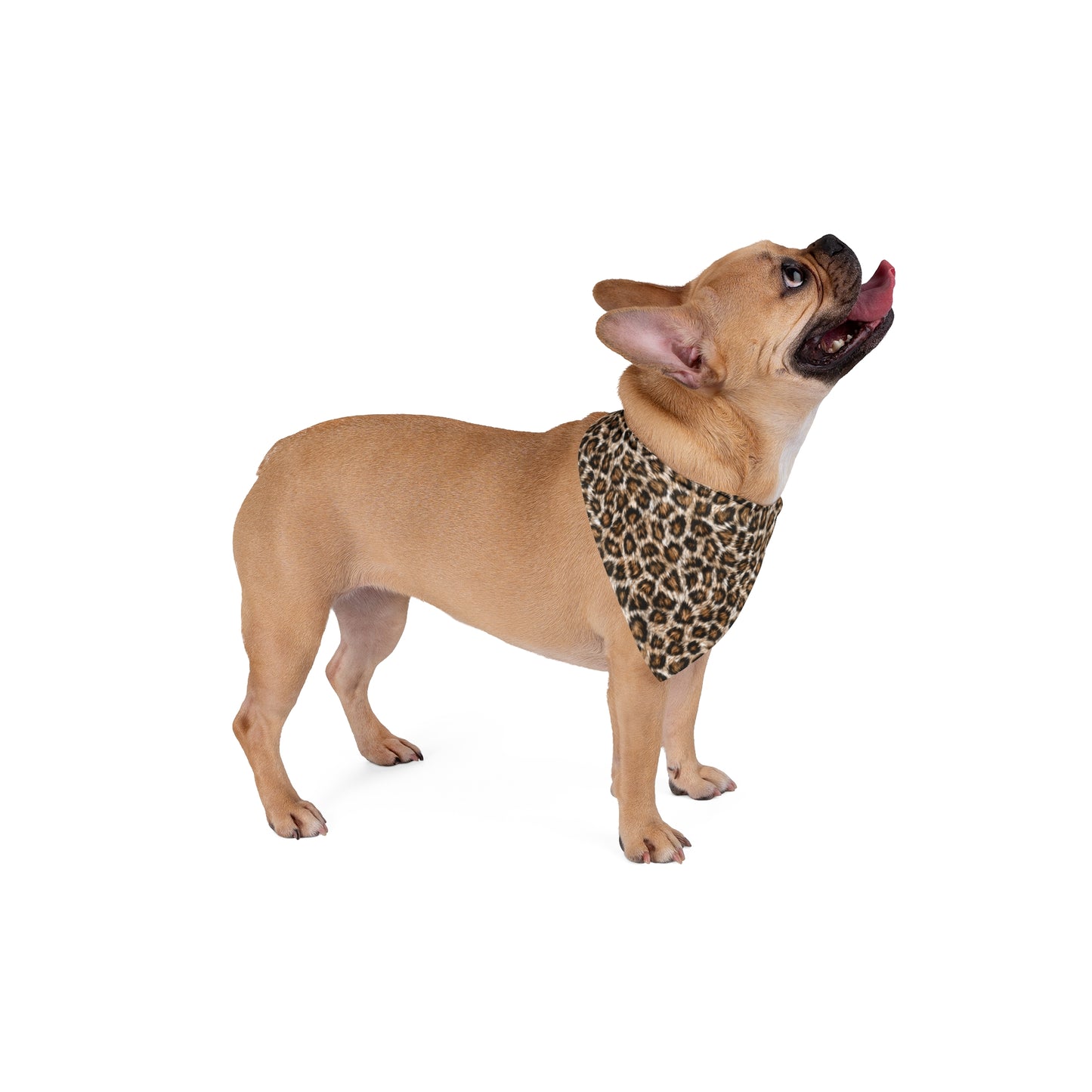 Leopard Print Pet Bandana